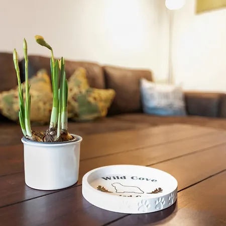 Bis 6 Hunde Mit Garten