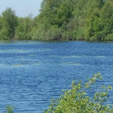 Bis 6 Hunde Mit Garten アパート *