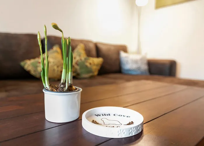 Bis 6 Hunde Mit Garten